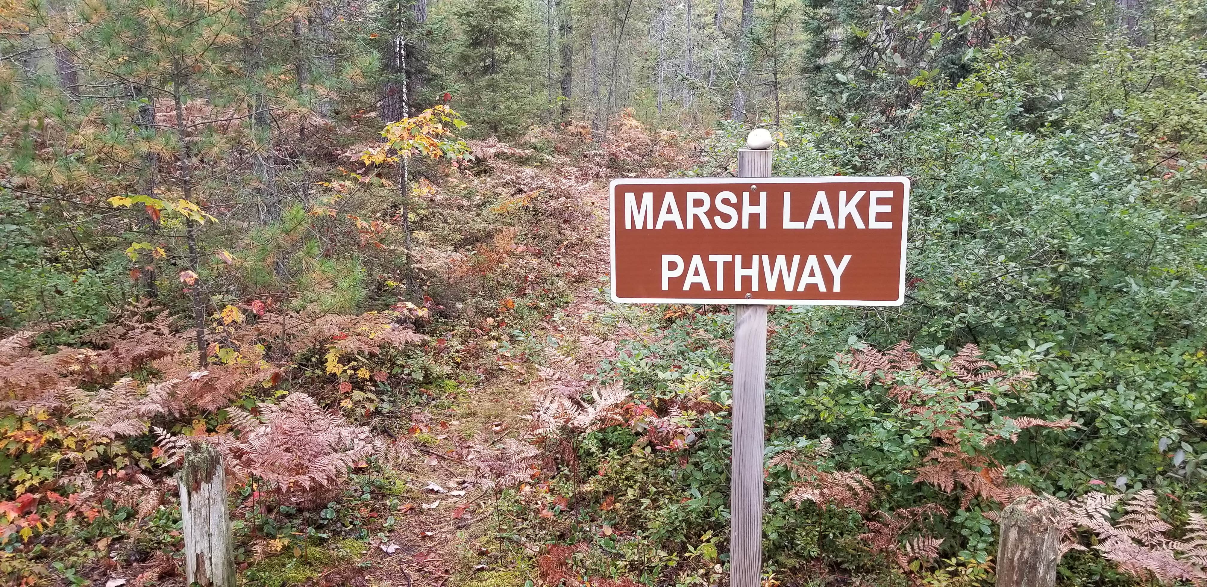 Camping near South Manistique Lake State Forest Campground: Big Knob State Forest Campground, Naubinway, Michigan