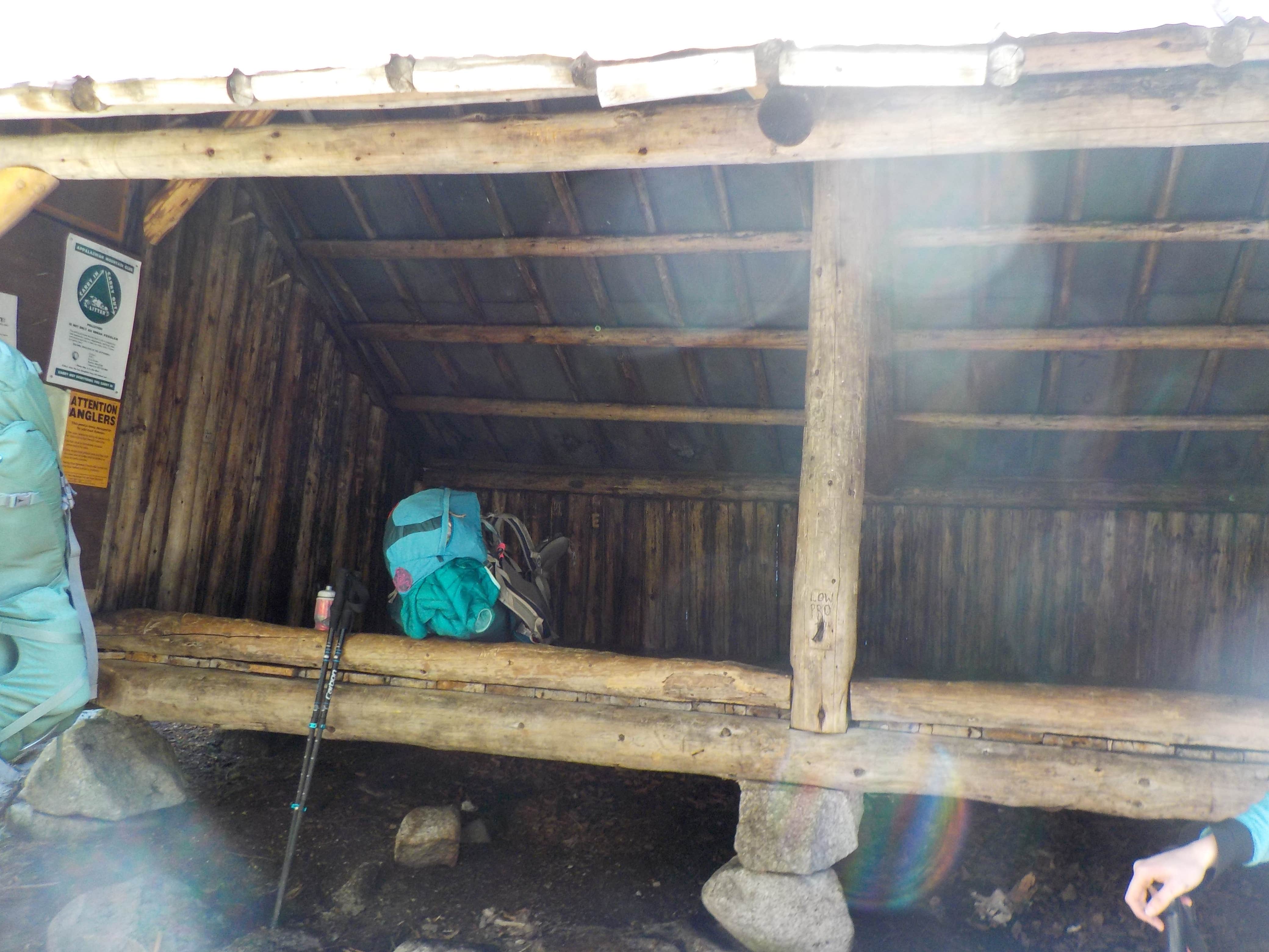 Sarah C.'s photo of camping with pets at Ethan Pond Shelter in New Hampshire