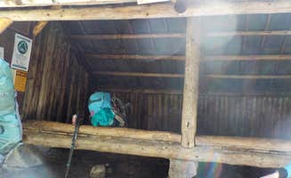 Sarah C.'s photo of camping with pets at Ethan Pond Shelter near White Mountain National Forest