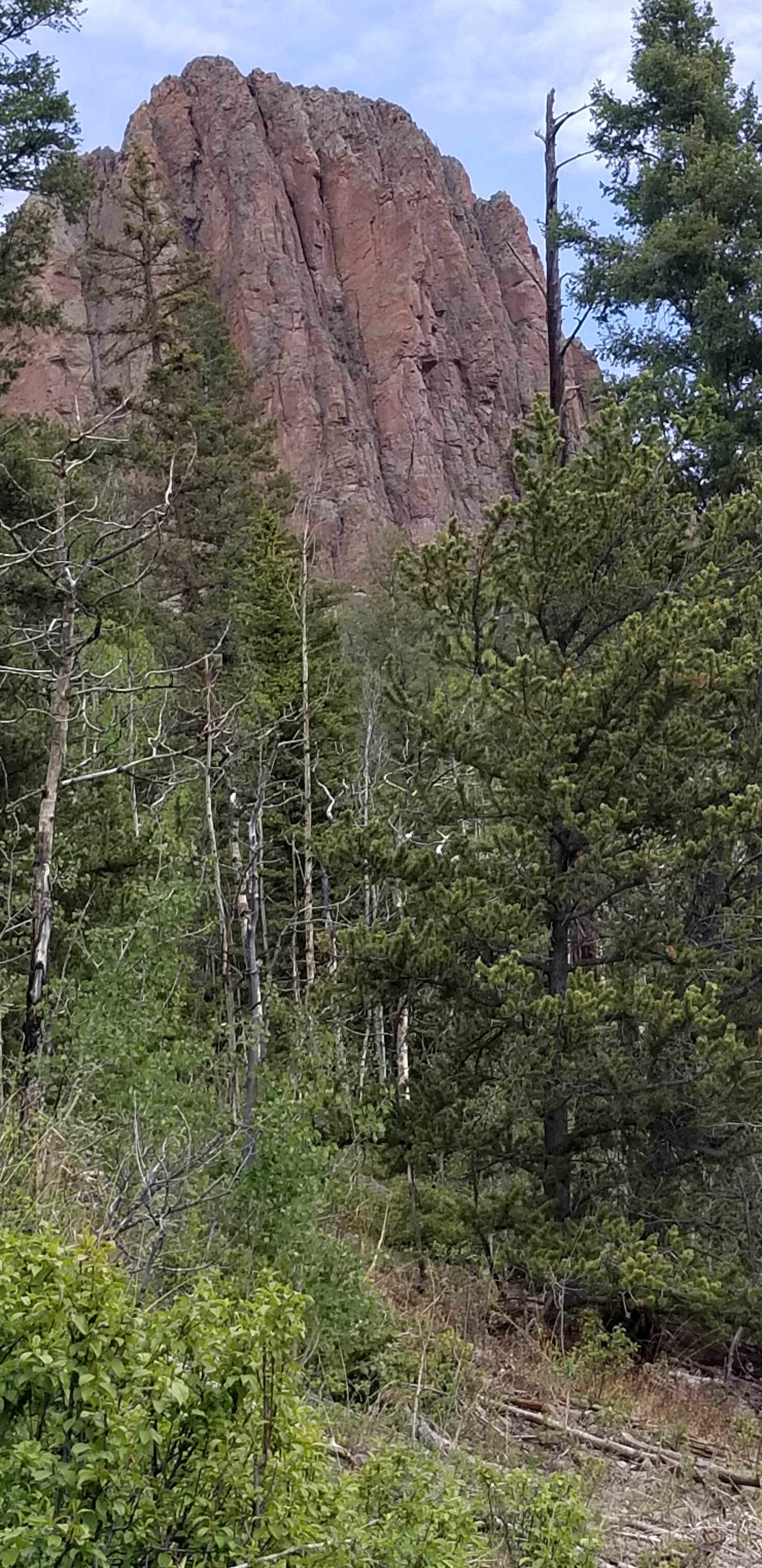 Camper-submitted photo at Cathedral Campground near Del Norte, CO