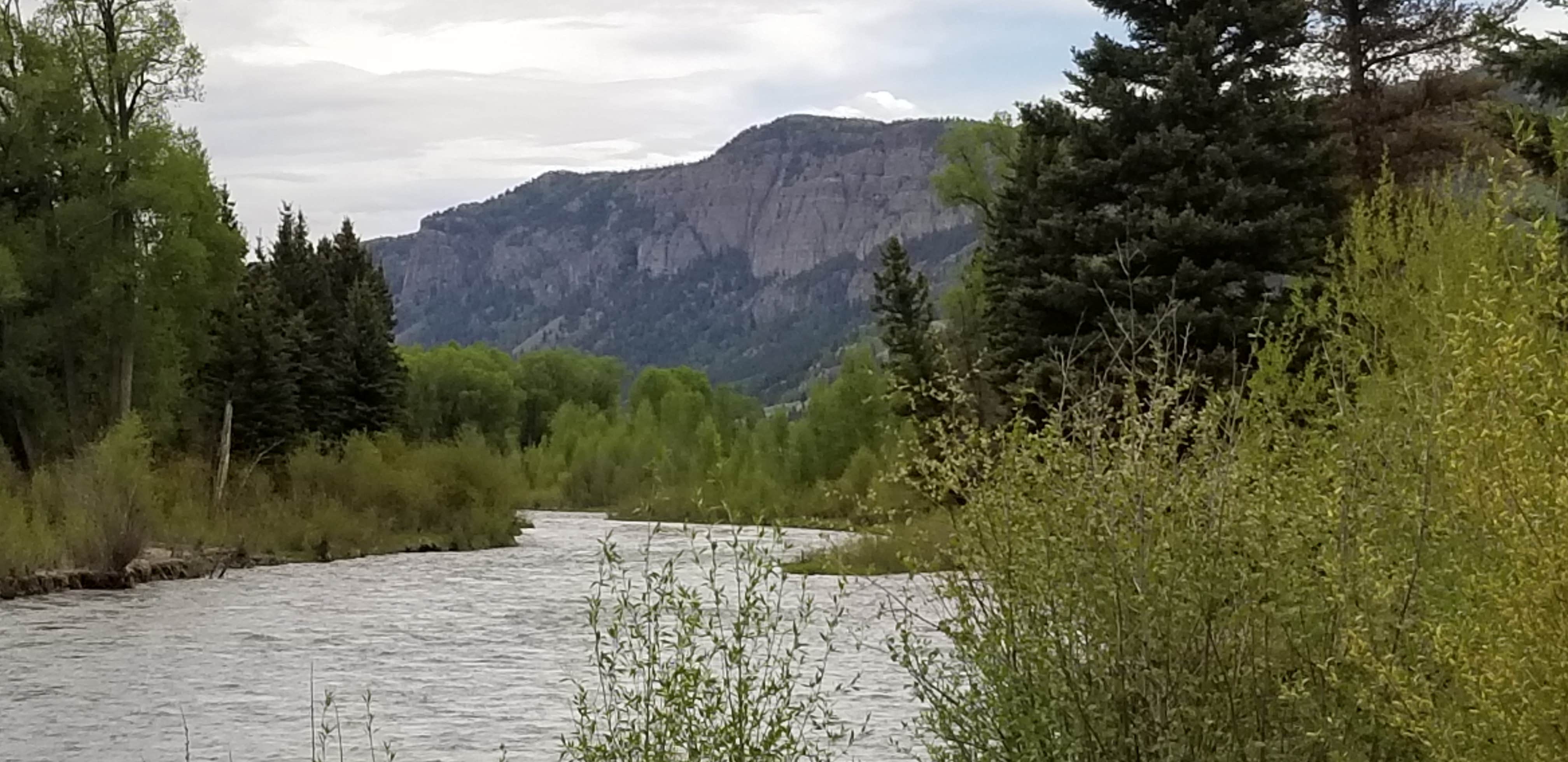 Camper submitted image from Conejos Campground - 2