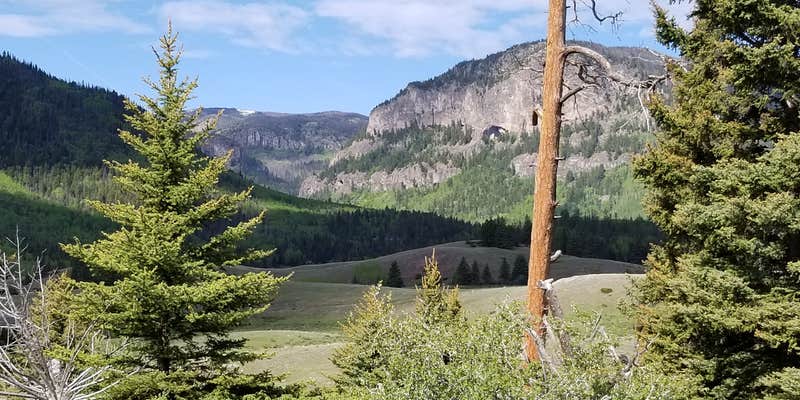 Camper submitted image from Conejos Campground