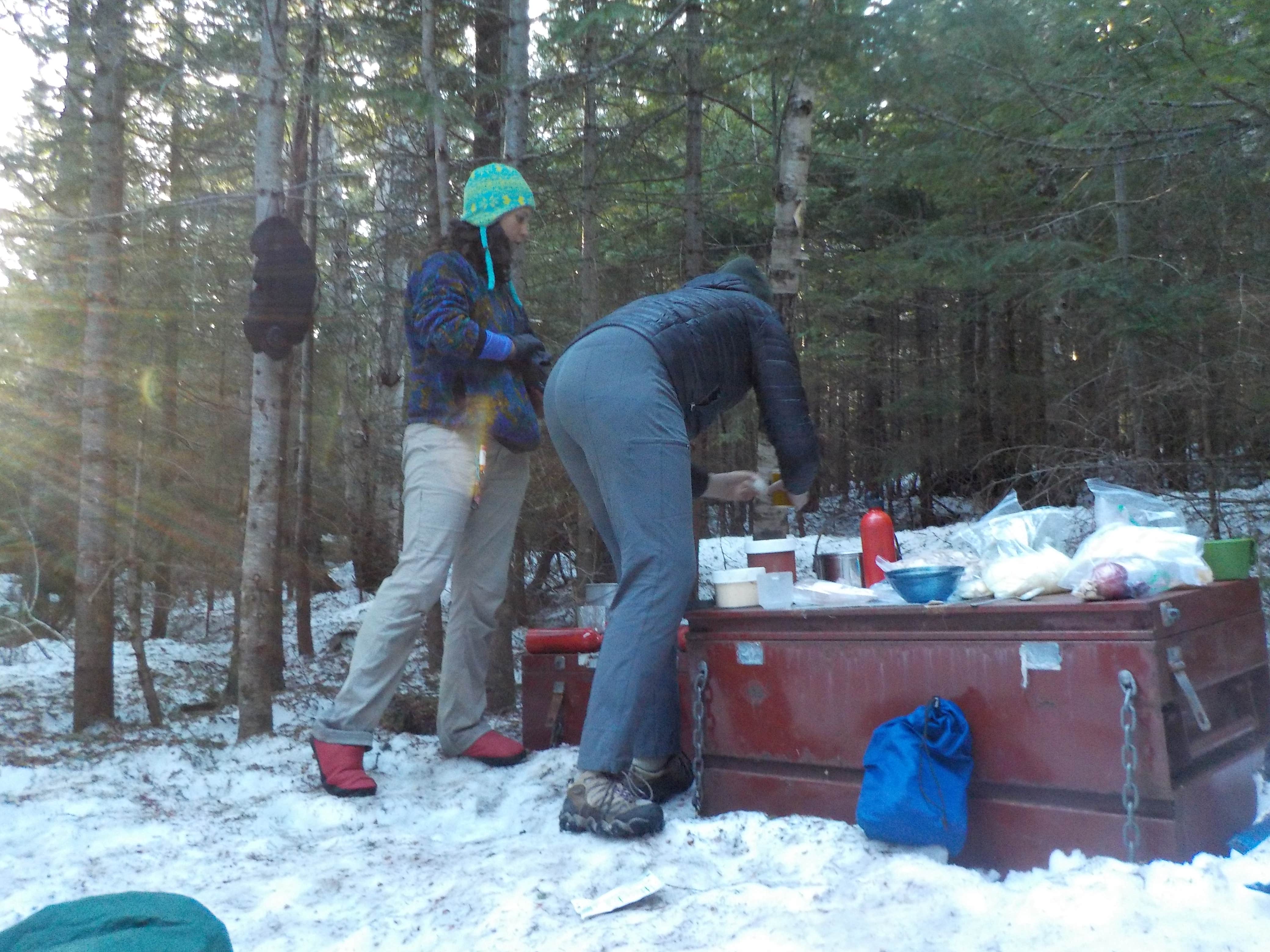 Camper submitted image from Ethan Pond Shelter - 3