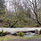 Review photo of Lyre River Campground by Stevie L., January 10, 2021