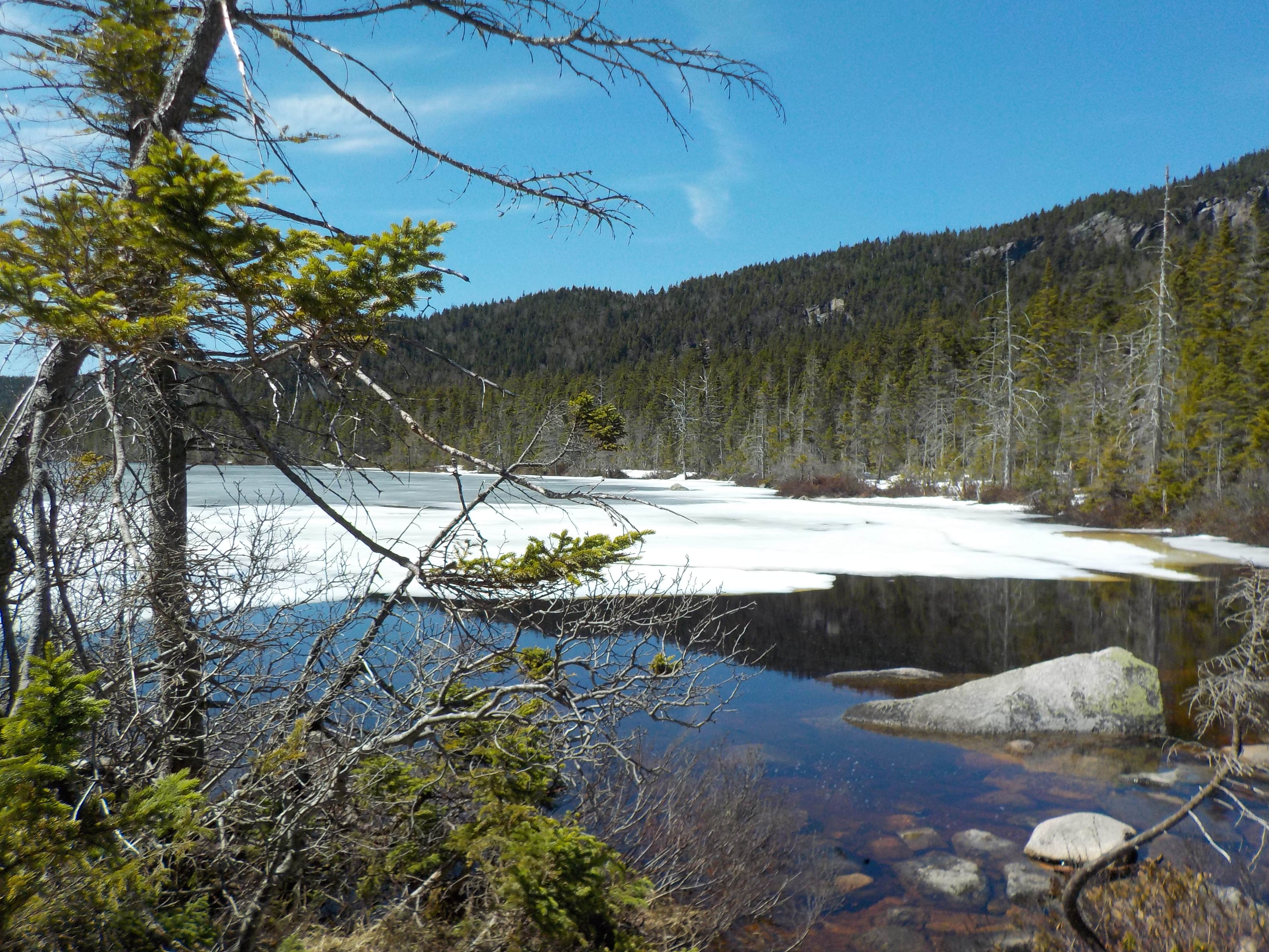 Camper submitted image from Ethan Pond Shelter - 2