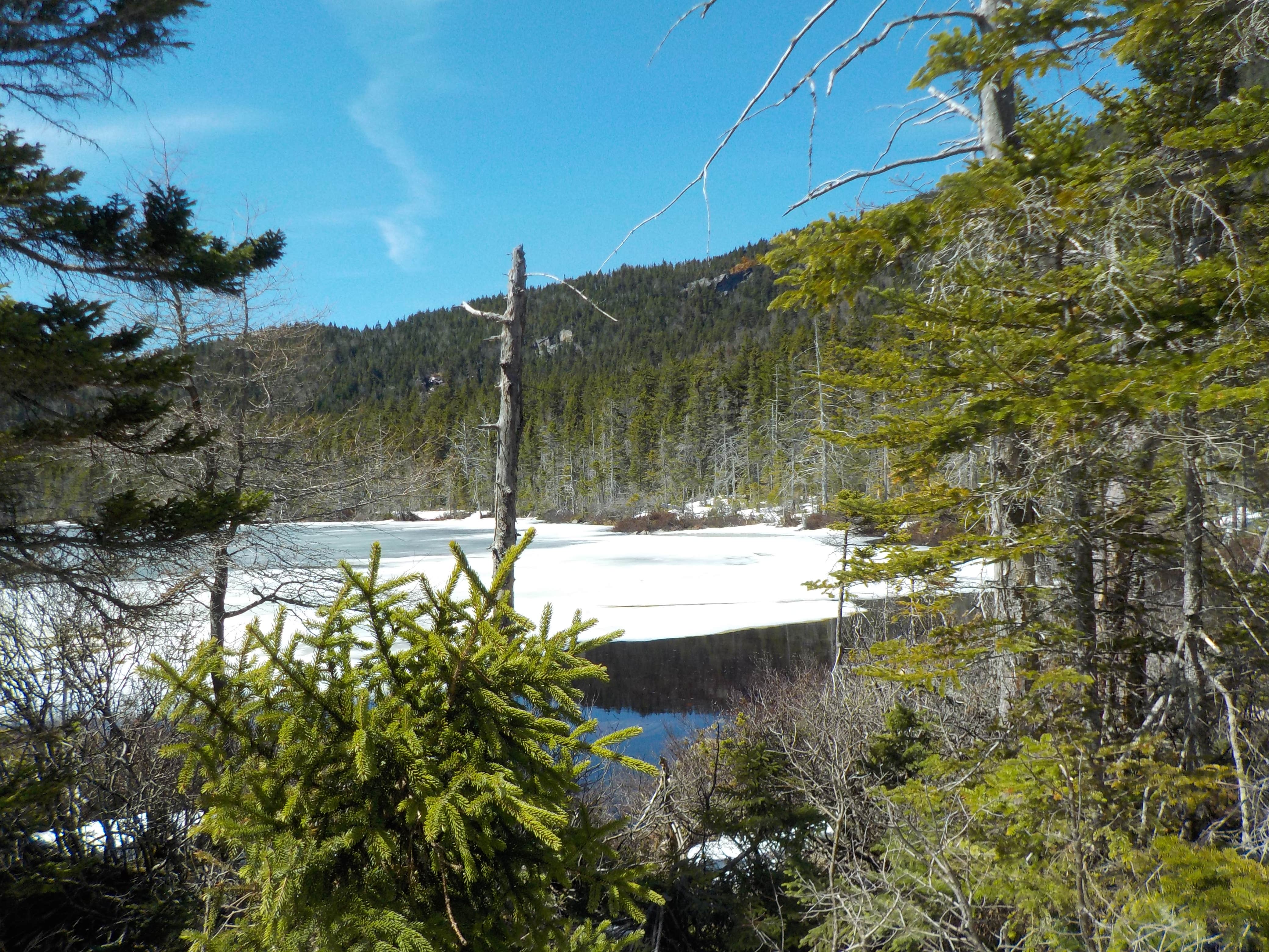 Conway - Photo 2