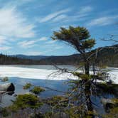 Review photo of Ethan Pond Shelter by Sarah C., May 27, 2018