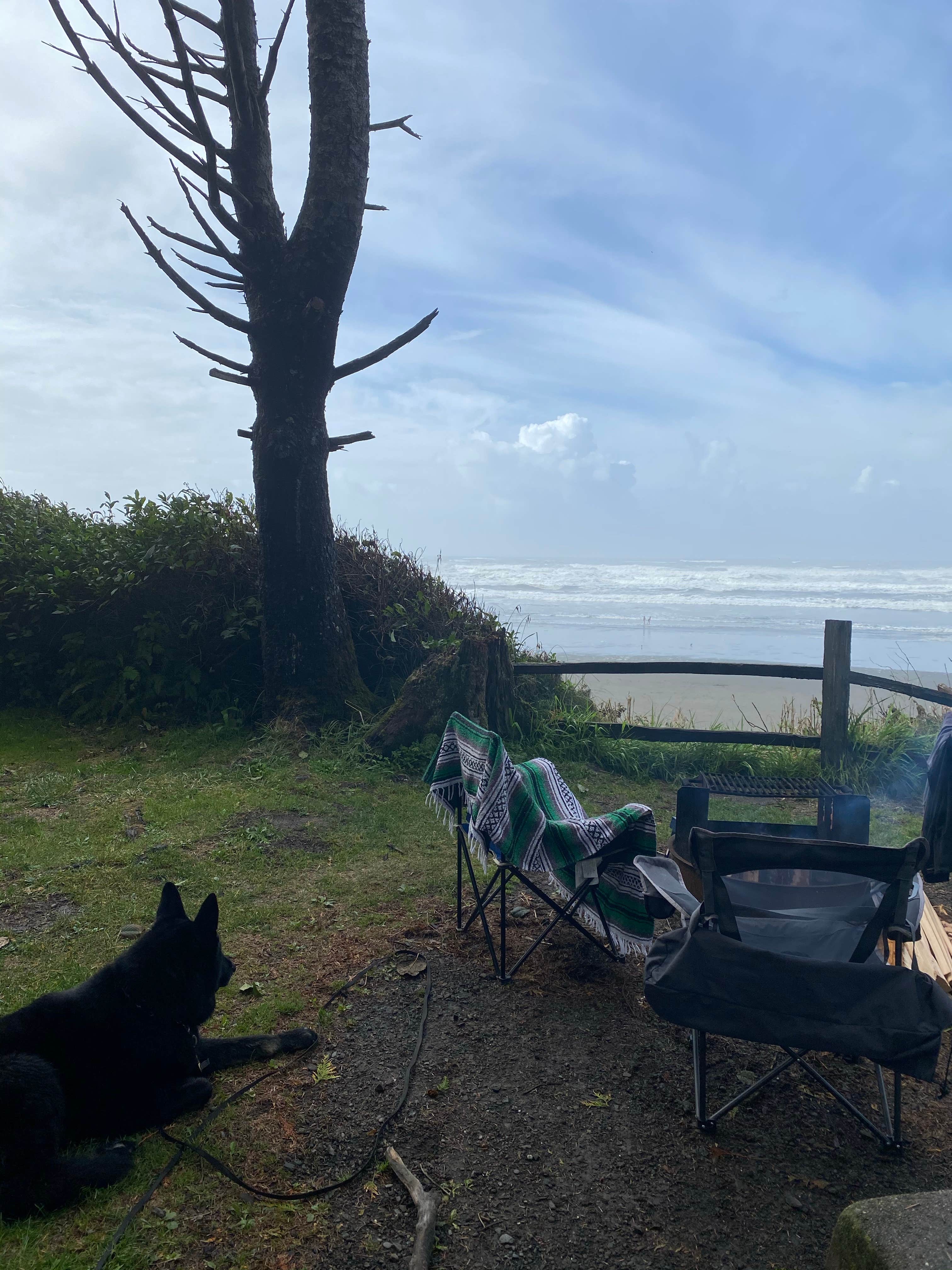 Stevie L.'s photo of camping with pets at Kalaloch Campground - group — Olympic National Park near Forks, WA