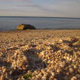 Review photo of Wildwood State Park Campground by Megan B., July 12, 2016
