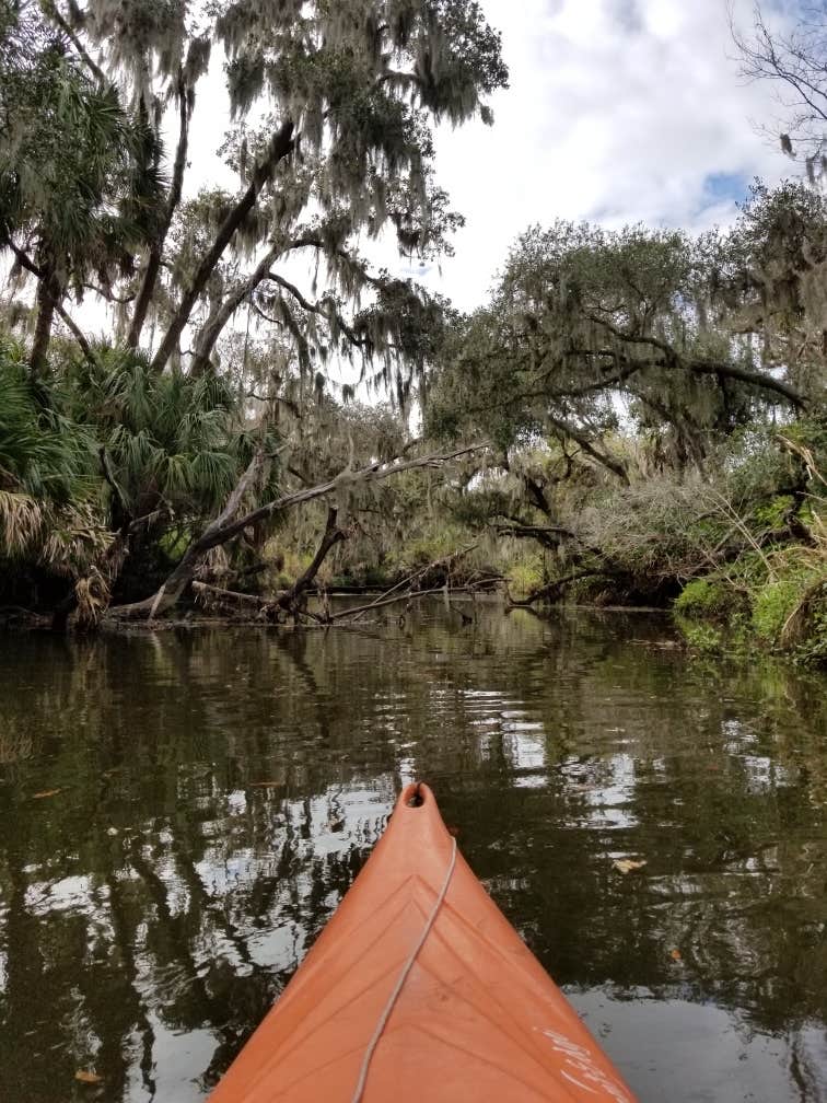 Camper-submitted photo at Frog Creek RV Resort & Campground near Terra Ceia, FL