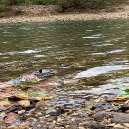 Kyles Landing Campground - Buffalo National River