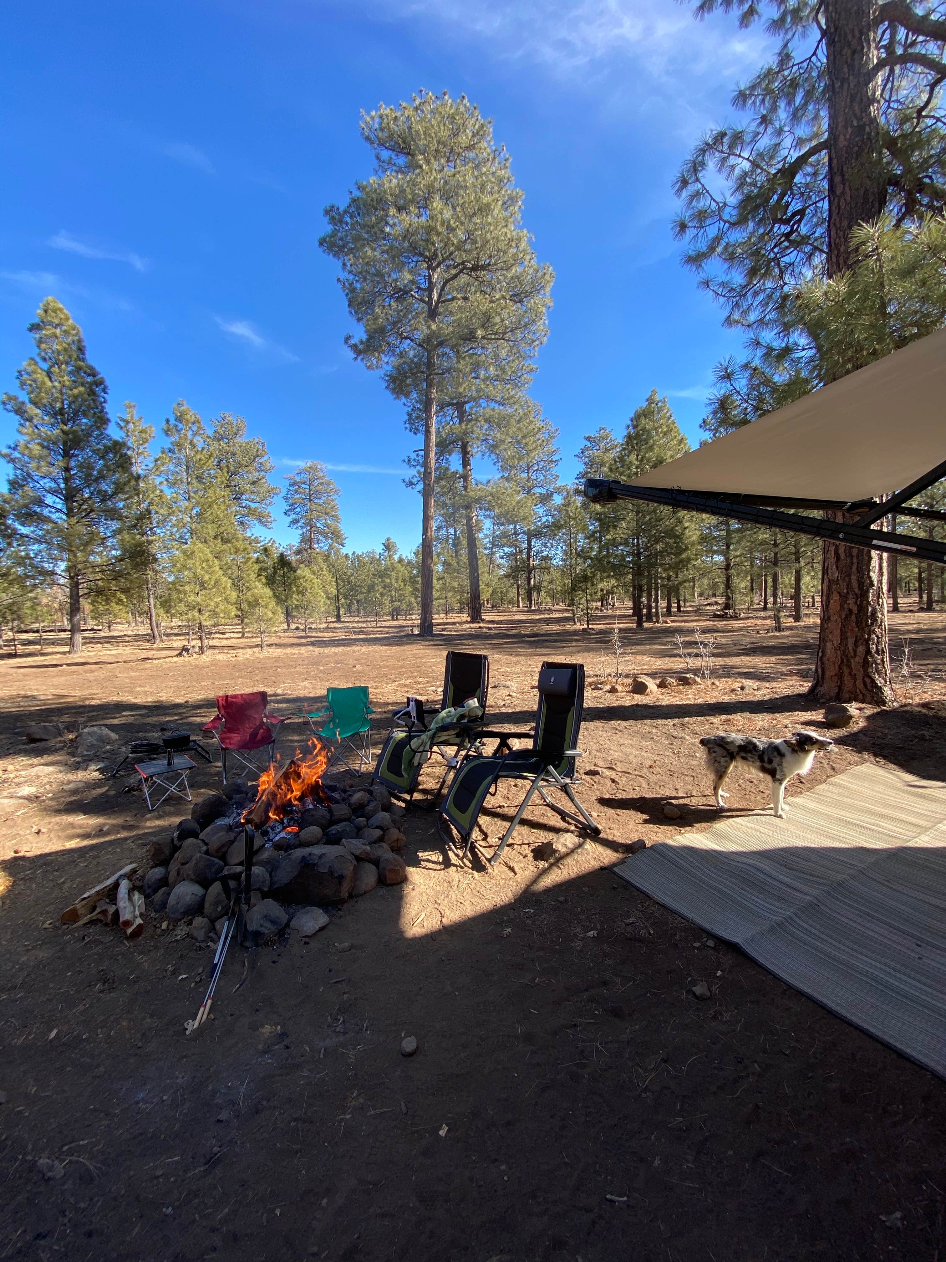 Camper-submitted photo at Blue Ridge Reservoir near Winslow, AZ