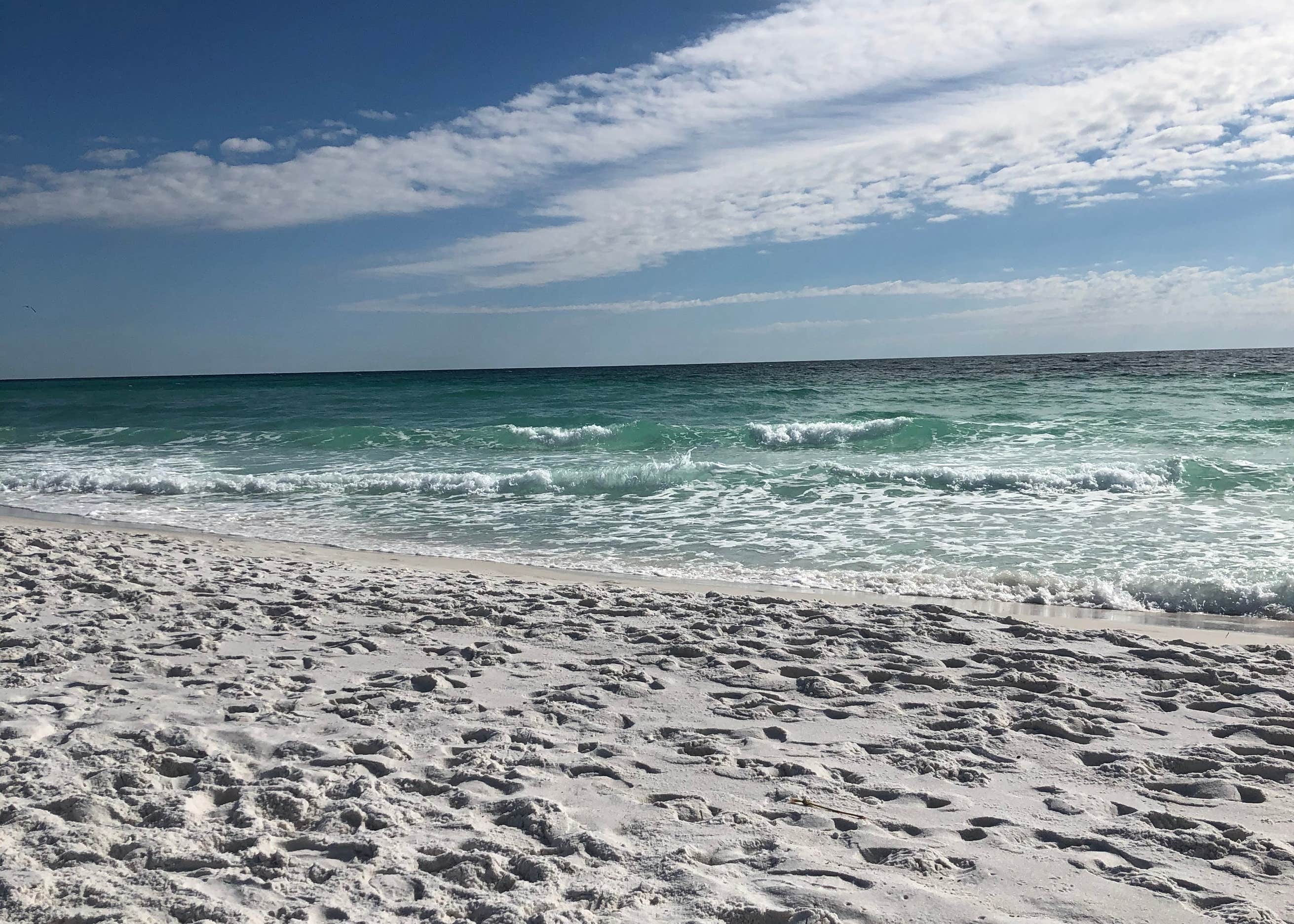 Henderson Beach State Park5 Camping The Dyrt