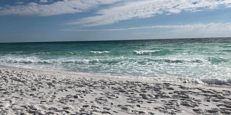 Camper submitted image from Henderson Beach State Park Campground