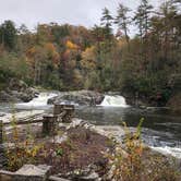 Review photo of Spacious Skies Bear Den by Darlene R., January 10, 2021