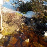 Review photo of Ethan Pond Shelter by Sarah C., May 27, 2018