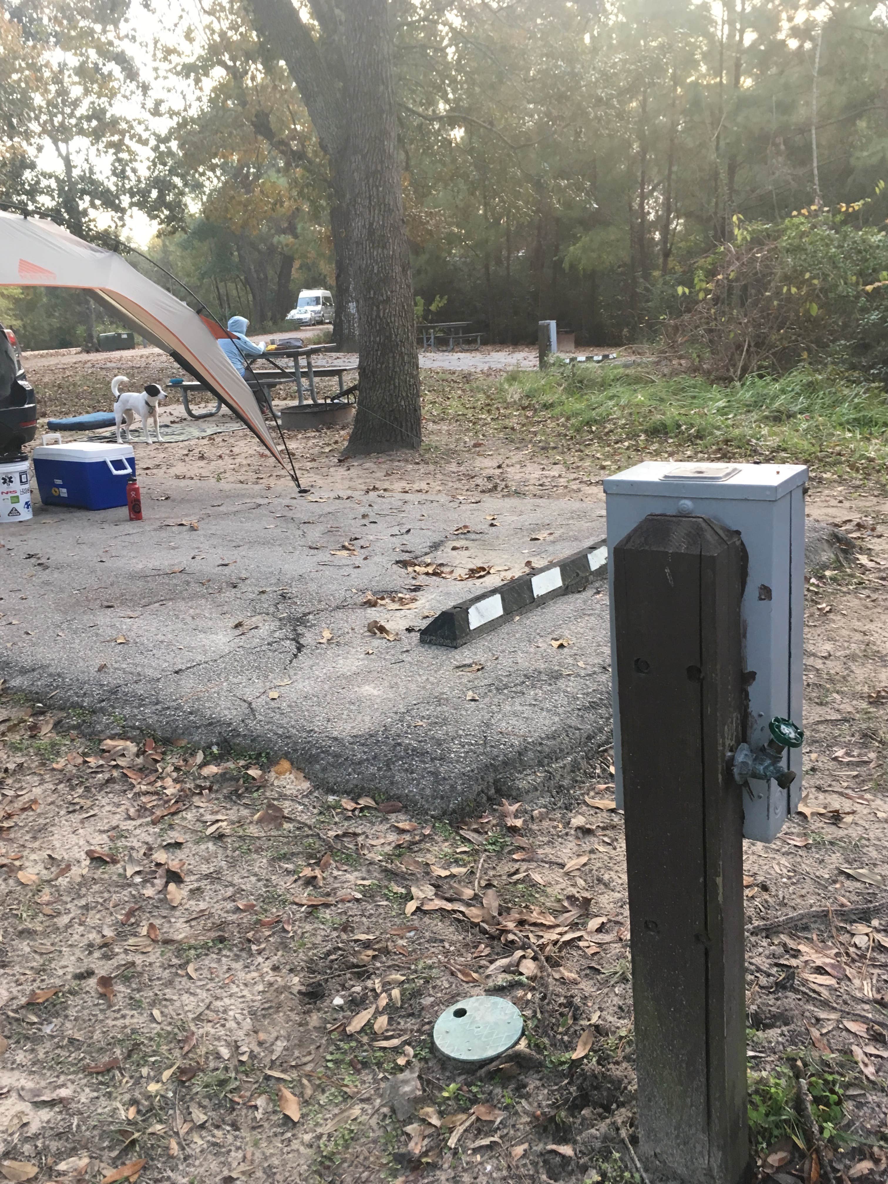 Sarah C.'s photo at Davis Bayou Campground — Gulf Islands National Seashore near Moss Point, MS