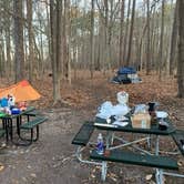 Review photo of Military Park Langley AFB Bethel Recreation Area - Park and FamCamp by todd B., January 11, 2021