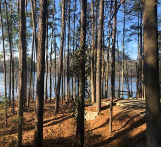 Camper-submitted photo from Stone Mountain Park Campground