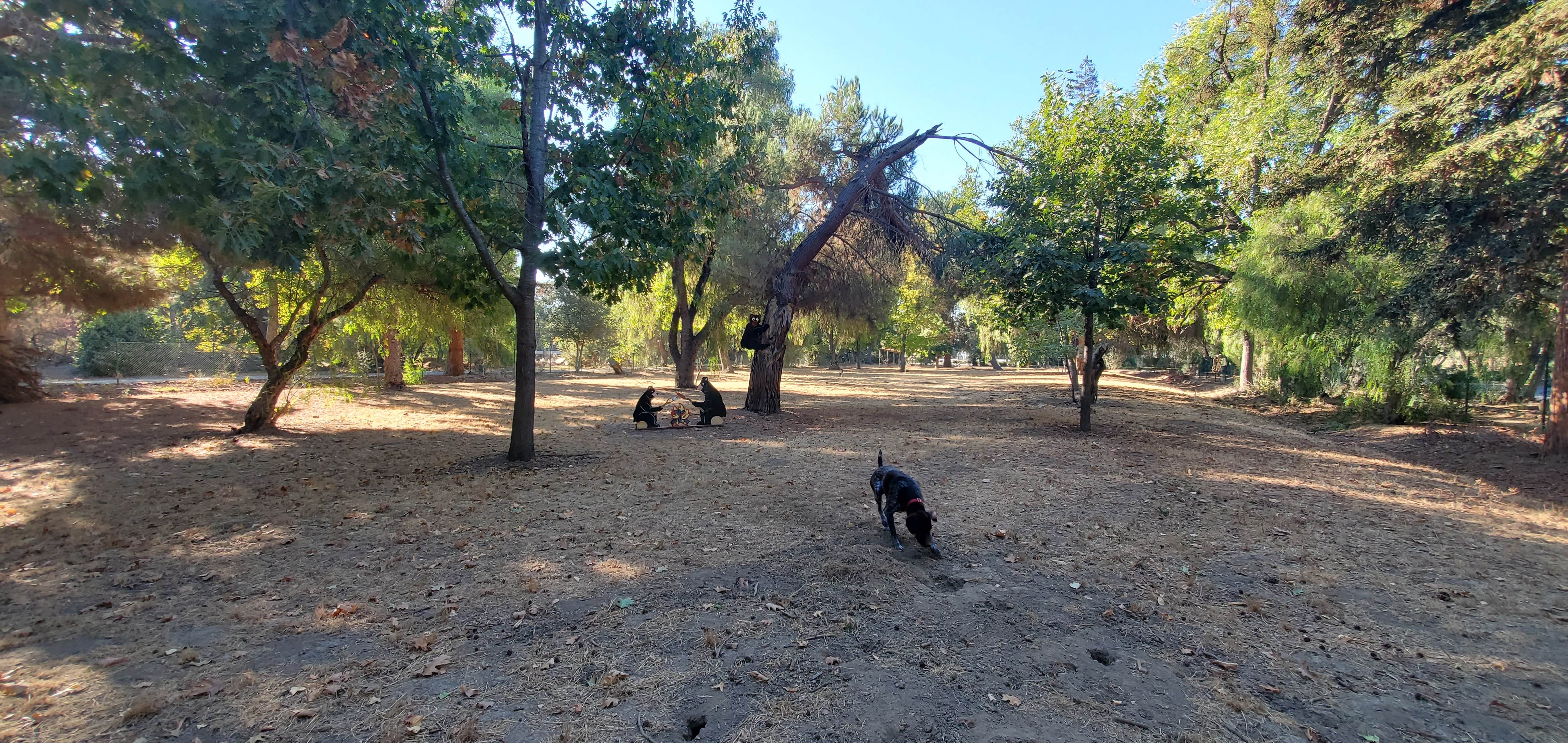 Nomad1cHuskers ..'s photo of camping with pets at Casa de Fruta RV Orchard Resort near Paicines, CA
