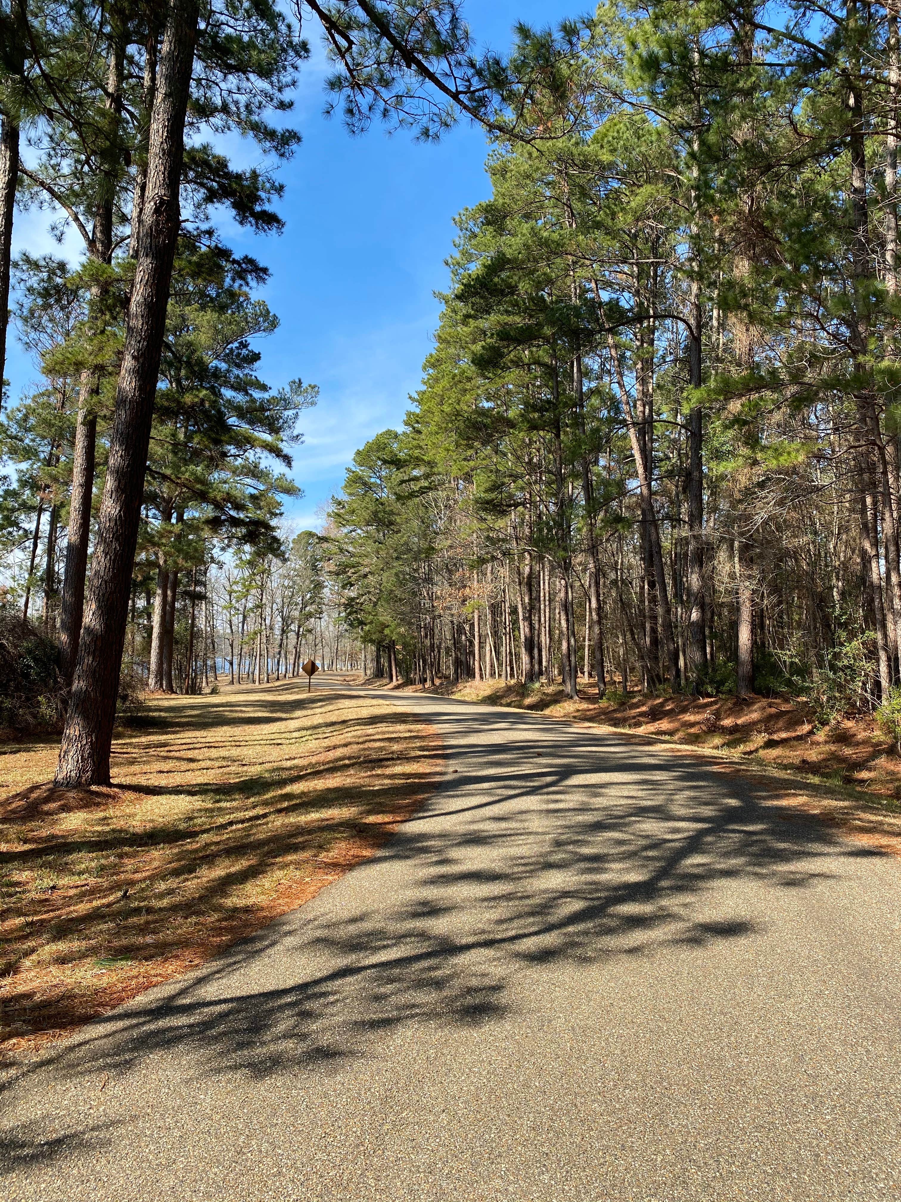 Camping near COE Lake O&#x27; the Pines Alley Creek Park: Buckhorn Creek, Jefferson, Texas