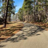 Review photo of Buckhorn Creek by Roman P., January 11, 2021