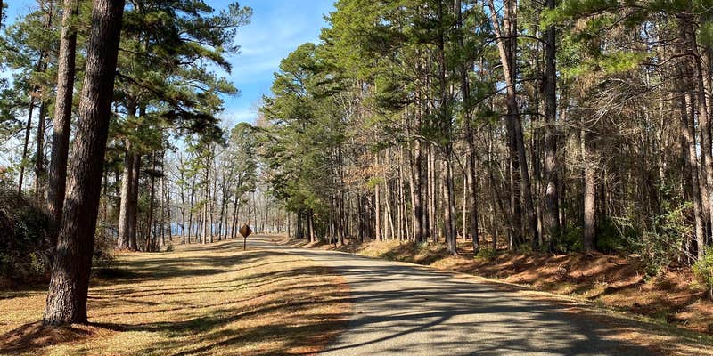 Camper submitted image from Buckhorn Creek