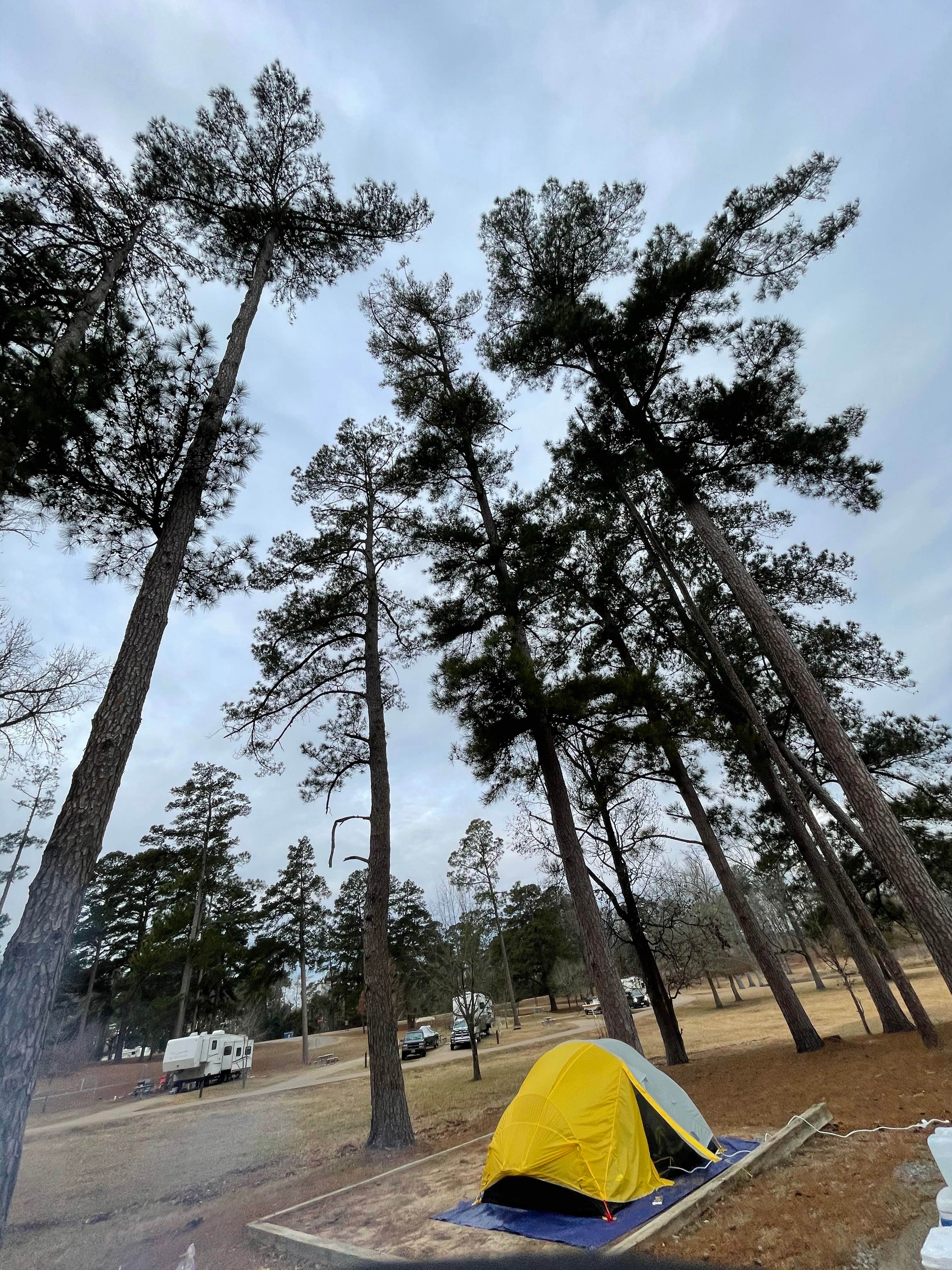 Camper-submitted photo at Buckhorn Creek near White Oak, TX