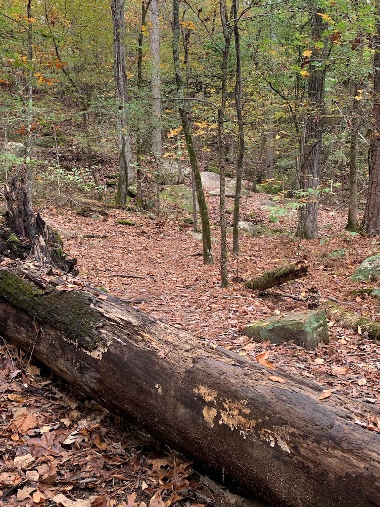 Camper-submitted photo at Tishomingo State Park Campground in Mississippi