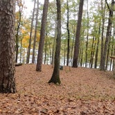 Review photo of Tishomingo State Park Campground by Thomas H., January 11, 2021