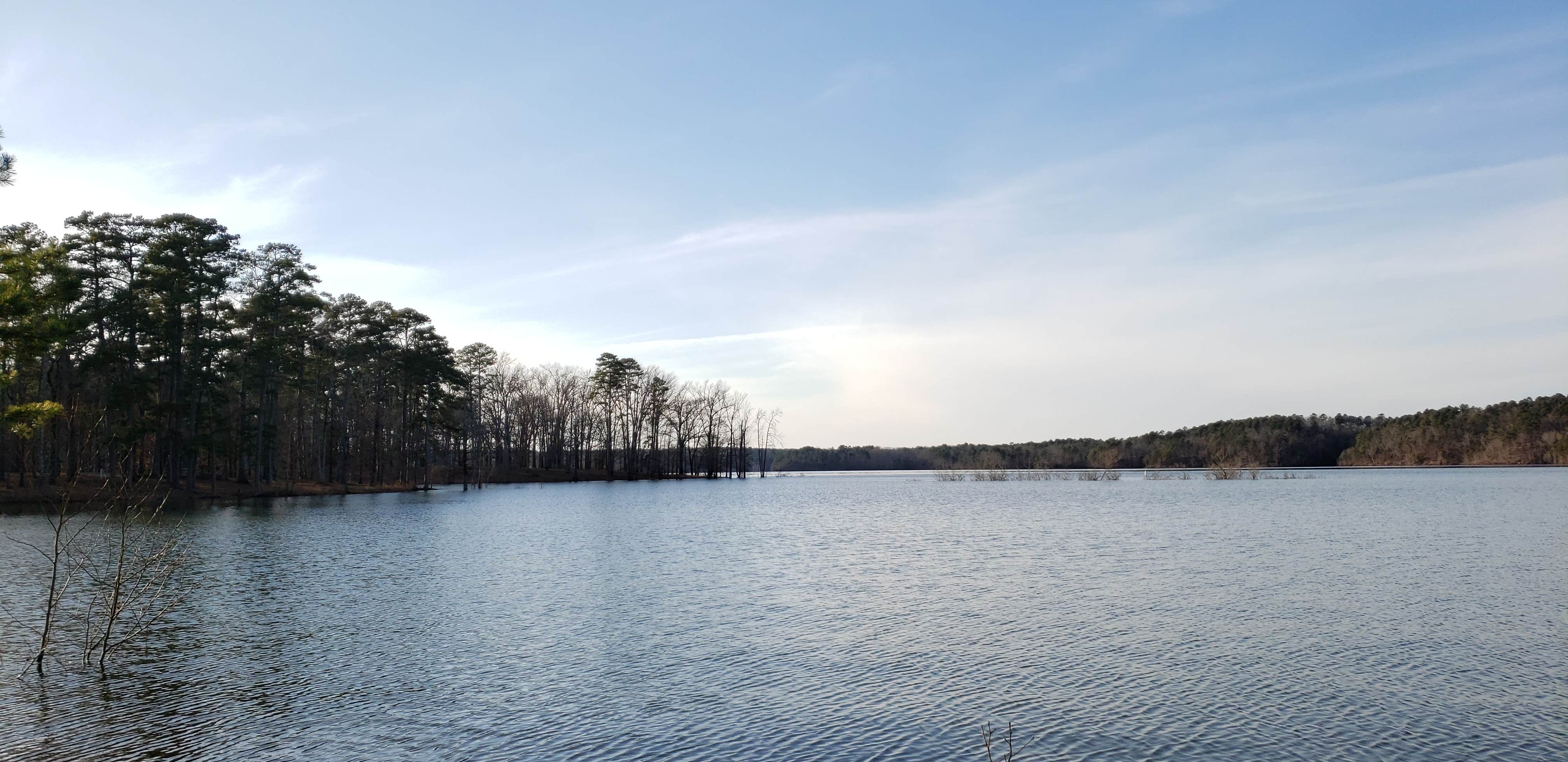Camper-submitted photo at Tompkins Bend near Oden, AR
