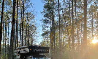 Camping near Whispering Oaks RV Resort: Goose Creek State Park Campground, Bath, North Carolina