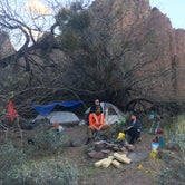 Review photo of Moonscape Canyon Dispersed Camping — Lake Mead National Recreation Area by Dan X., January 11, 2021
