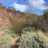 Review photo of Moonscape Canyon Dispersed Camping — Lake Mead National Recreation Area by Dan X., January 11, 2021