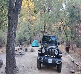 Camper-submitted photo from Chiricahua Mountains