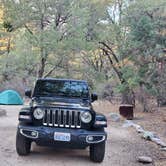 Review photo of Chiricahua Mountains by Melissa W., January 11, 2021