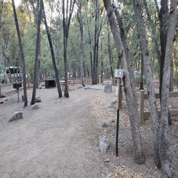 Chiricahua Mountains