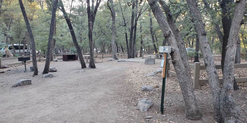 Camper submitted image from Chiricahua Mountains