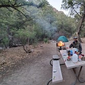 Review photo of Chiricahua Mountains by Melissa W., January 11, 2021