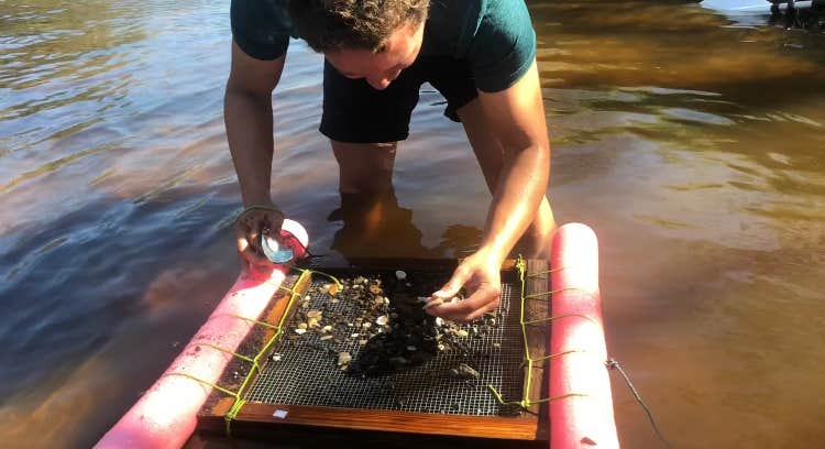 Camper-submitted photo at Peace River Campground near Arcadia, FL