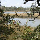 Review photo of Davis Bayou Campground — Gulf Islands National Seashore by Sarah C., May 27, 2018