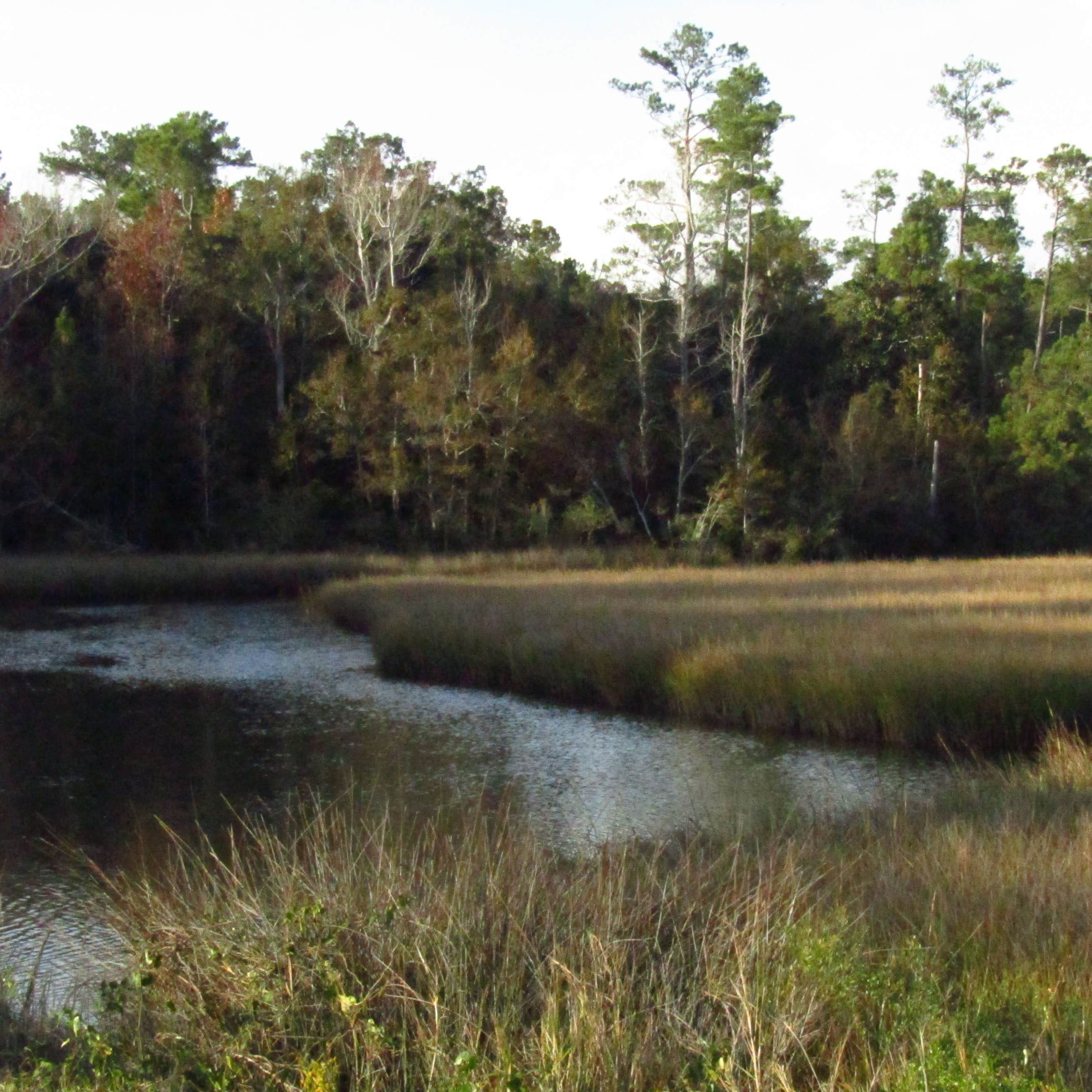 Davis Bayou Campground Camping The Dyrt