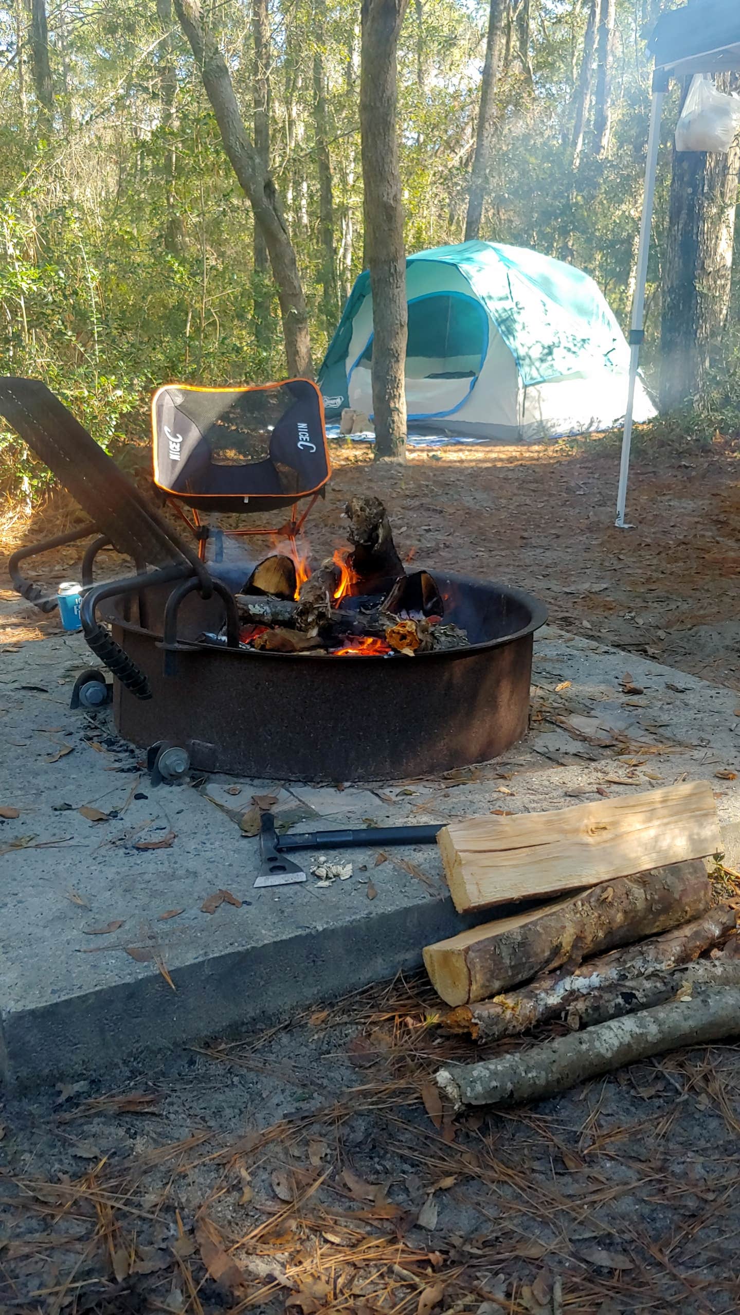 Camper-submitted photo at Carolina Beach State Park Campground near Wrightsville Beach, NC