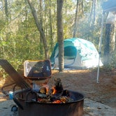 Review photo of Carolina Beach State Park Campground by Marvin D., January 11, 2021