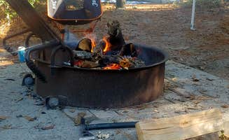 Marvin D.'s photo at Carolina Beach State Park Campground near Currie, NC