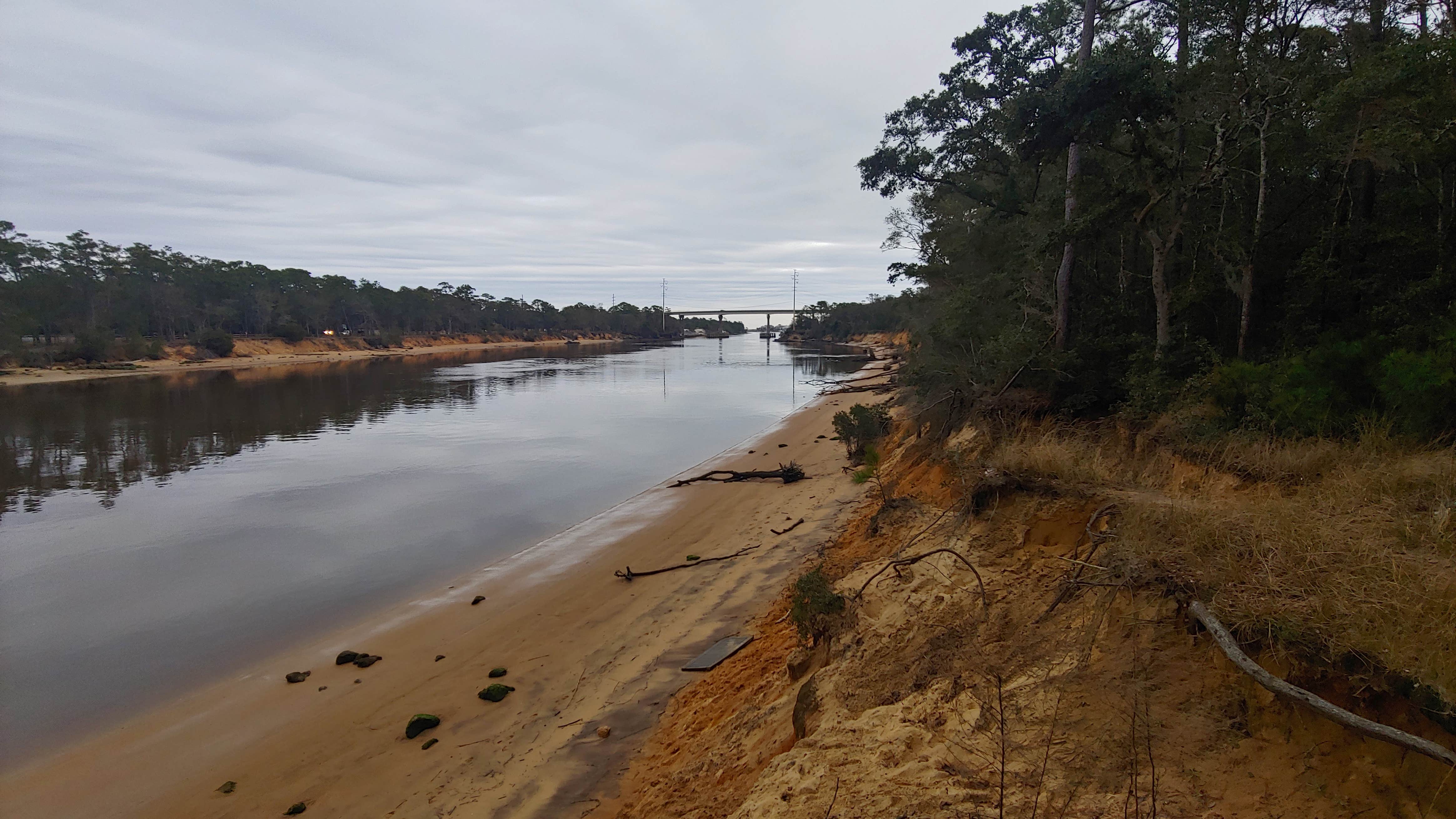 Camper-submitted photo at Carolina Beach State Park Campground near Wrightsville Beach, NC