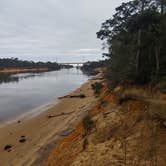 Review photo of Carolina Beach State Park Campground by Marvin D., January 11, 2021