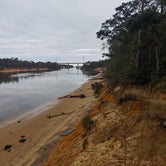 Review photo of Carolina Beach State Park Campground by Marvin D., January 11, 2021