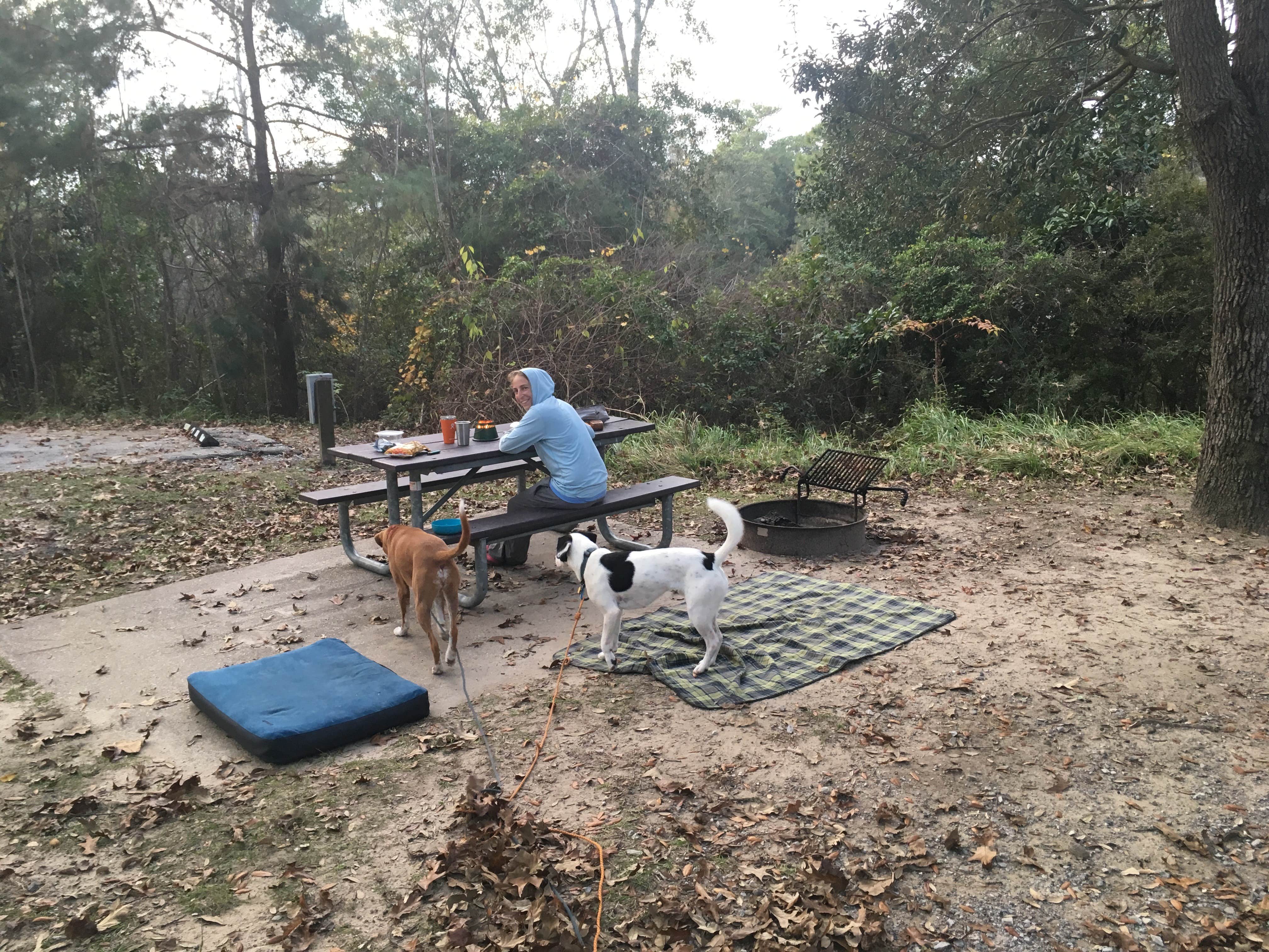 Sarah C.'s photo of camping with pets at Davis Bayou Campground — Gulf Islands National Seashore near Gulfport, MS