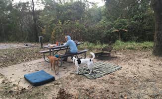 Sarah C.'s photo of camping with pets at Davis Bayou Campground — Gulf Islands National Seashore near Grand Bay, AL